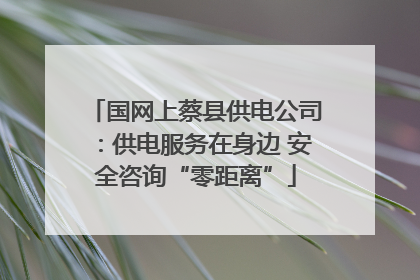 国网上蔡县供电公司：供电服务在身边 安全咨询“零距离”