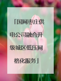 国网枣庄供电公司融合升级城区低压网格化服务