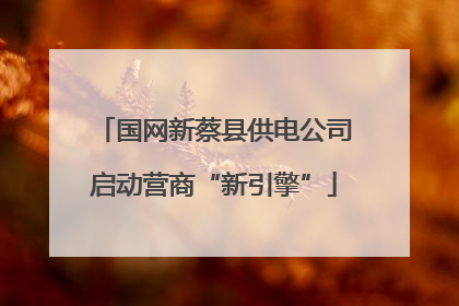 国网新蔡县供电公司启动营商“新引擎”