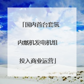 国内首台套氢内燃机发电机组投入商业运营