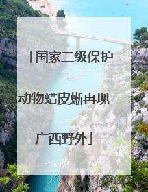 国家二级保护动物蜡皮蜥再现广西野外