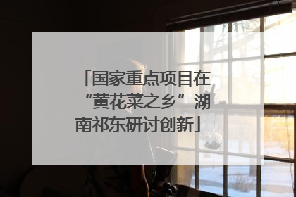国家重点项目在“黄花菜之乡”湖南祁东研讨创新