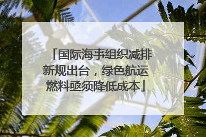 国际海事组织减排新规出台，绿色航运燃料亟须降低成本