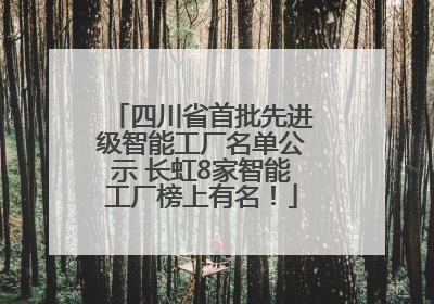 四川省首批先进级智能工厂名单公示 长虹8家智能工厂榜上有名！