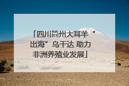 四川简州大耳羊“出海”乌干达 助力非洲养殖业发展