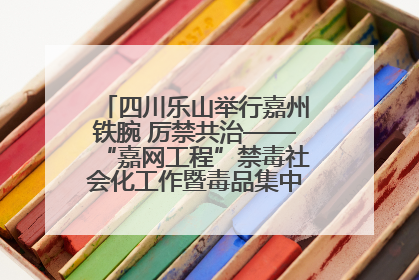 四川乐山举行嘉州铁腕 厉禁共治——“嘉网工程”禁毒社会化工作暨毒品集中销毁启动仪式