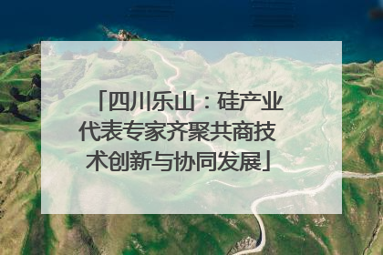 四川乐山：硅产业代表专家齐聚共商技术创新与协同发展