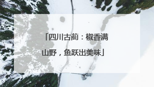 四川古蔺：椒香满山野，鱼跃出美味