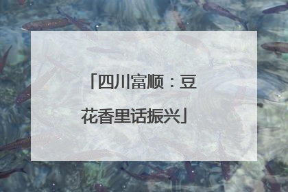 四川富顺：豆花香里话振兴