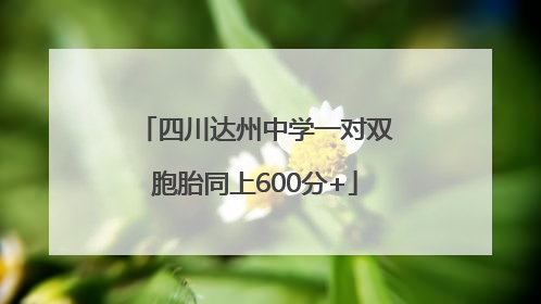 四川达州中学一对双胞胎同上600分+
