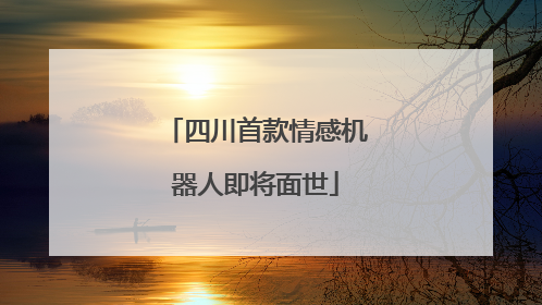 四川首款情感机器人即将面世