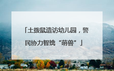 土拨鼠造访幼儿园，警民协力智擒“萌兽”