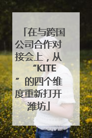 在与跨国公司合作对接会上，从“KITE”的四个维度重新打开潍坊