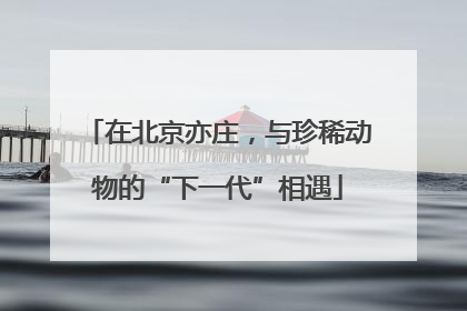 在北京亦庄，与珍稀动物的“下一代”相遇