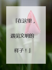 在这里，遇见文明的样子！