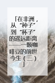 在非洲，从“种子”到“杯子”的遥远距离——一颗咖啡豆的前世今生（三）
