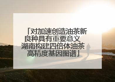 对加速创造油茶新良种具有重要意义 湖南构建四倍体油茶高精度基因图谱
