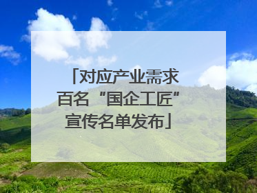 对应产业需求 百名“国企工匠”宣传名单发布