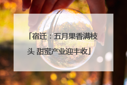 宿迁：五月果香满枝头 甜蜜产业迎丰收