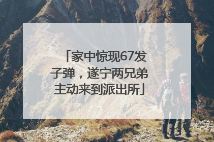 家中惊现67发子弹，遂宁两兄弟主动来到派出所