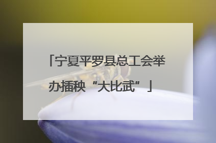 宁夏平罗县总工会举办插秧“大比武”
