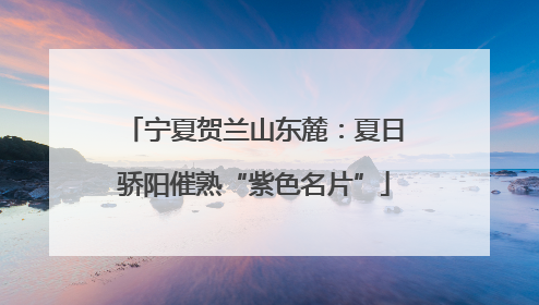 宁夏贺兰山东麓：夏日骄阳催熟“紫色名片”