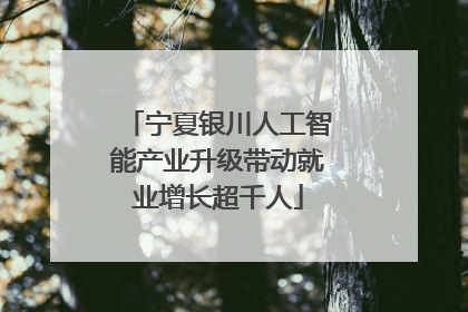 宁夏银川人工智能产业升级带动就业增长超千人