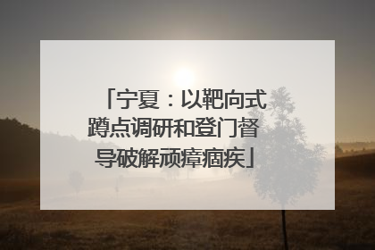 宁夏：以靶向式蹲点调研和登门督导破解顽瘴痼疾