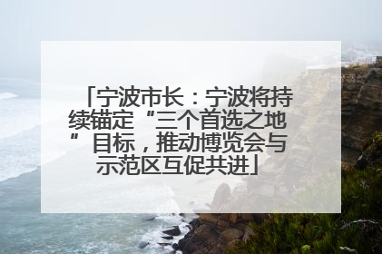 宁波市长：宁波将持续锚定“三个首选之地”目标，推动博览会与示范区互促共进