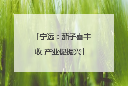 宁远：茄子喜丰收 产业促振兴