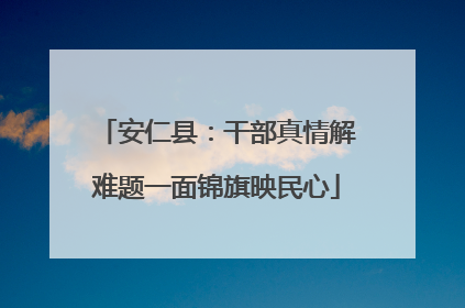 安仁县：干部真情解难题一面锦旗映民心