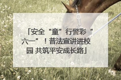 安全“童”行警彩“六一”！普法宣讲进校园 共筑平安成长路