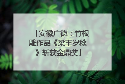 安徽广德：竹根雕作品《梁丰岁稔》斩获金鼎奖