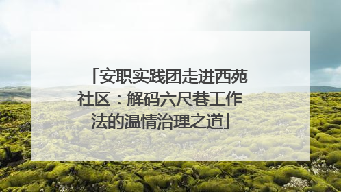 安职实践团走进西苑社区：解码六尺巷工作法的温情治理之道