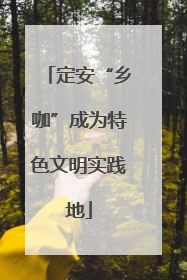 定安“乡咖”成为特色文明实践地