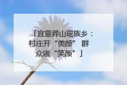 宜章莽山瑶族乡：村庄开“美颜” 群众露“笑颜”