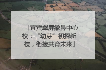 宜宾翠屏象鼻中心校：“幼芽”初探新枝，衔接共育未来