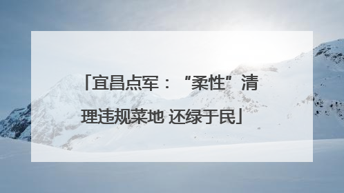 宜昌点军：“柔性”清理违规菜地 还绿于民