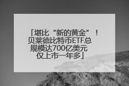 堪比“新的黄金”！贝莱德比特币ETF总规模达700亿美元 仅上市一年多