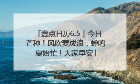 壹点日历6.5｜今日芒种！风吹麦成浪，蝉鸣夏始忙！大家早安
