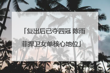 复出后已夺四冠 陈雨菲捍卫女单核心地位