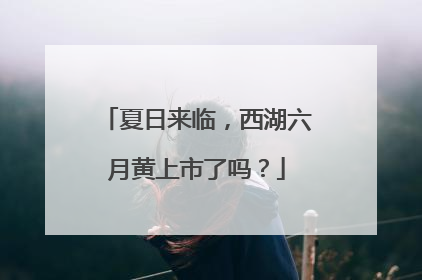 夏日来临，西湖六月黄上市了吗？