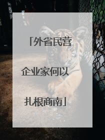 外省民营企业家何以扎根商南