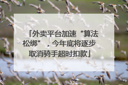 外卖平台加速“算法松绑”，今年底将逐步取消骑手超时扣款
