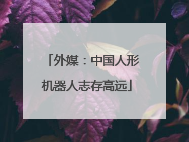 外媒：中国人形机器人志存高远