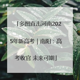 多图直击河南2025年新高考｜南阳：高考收官 未来可期