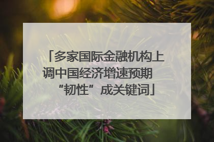 多家国际金融机构上调中国经济增速预期 “韧性”成关键词