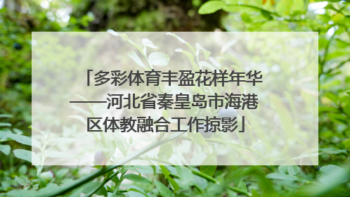 多彩体育丰盈花样年华——河北省秦皇岛市海港区体教融合工作掠影
