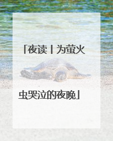 夜读丨为萤火虫哭泣的夜晚