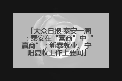 大众日报·泰安一周：泰安在“营商”中“赢商”；新泰就业、宁阳夏收工作上要闻